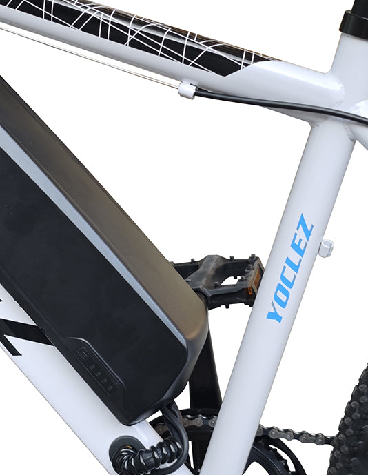 26in 4G All-Terrain E-Bike