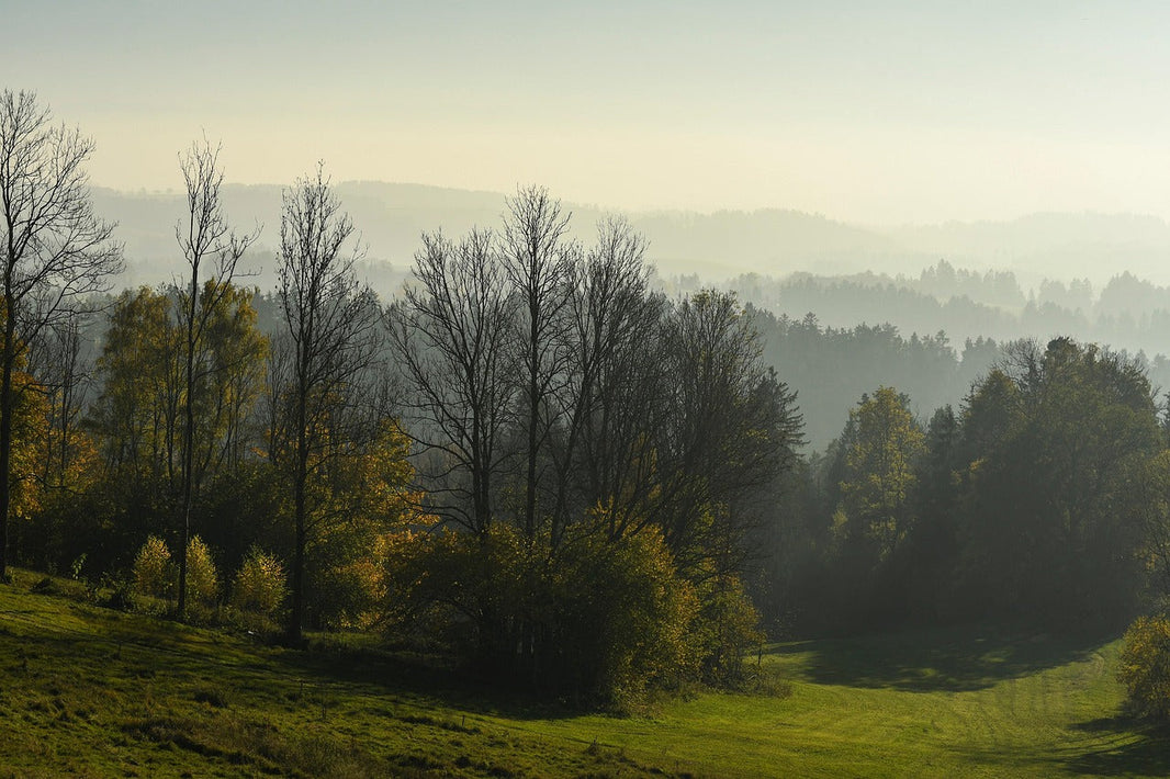 The Rise of Adventure Cycling: Exploring New Paths on Two Wheels
