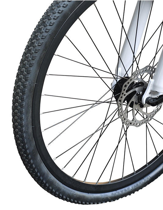 26in 4G All-Terrain E-Bike