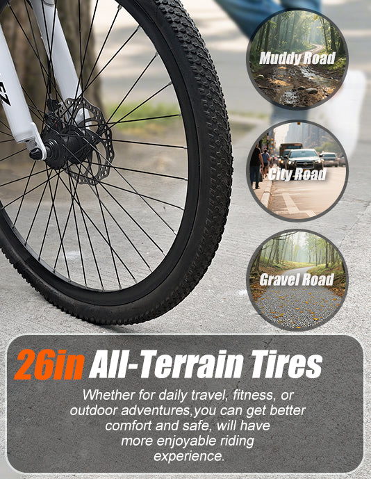 26in Electric Bikes, 4G Ebike